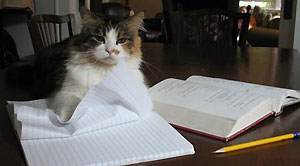 Study together